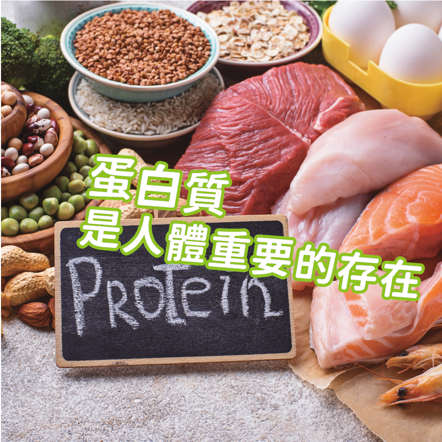 蛋白質是人體重要的存在